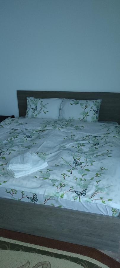 Sibiu Apartament Bucarest Extérieur photo